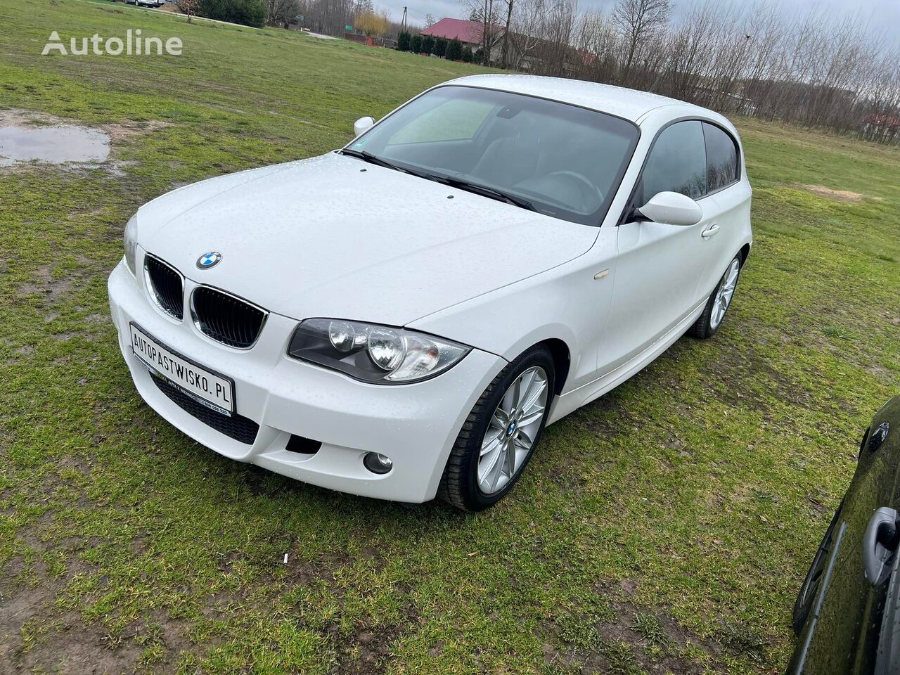 Citadine BMW 116i M Pakiet à vendre Pologne Zdziarka, MM34875