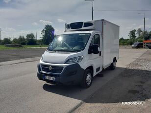 вантажівка рефрижератор < 3.5т FIAT DUCATO KONTENER CHŁODNIA MROŹNIA NR 705