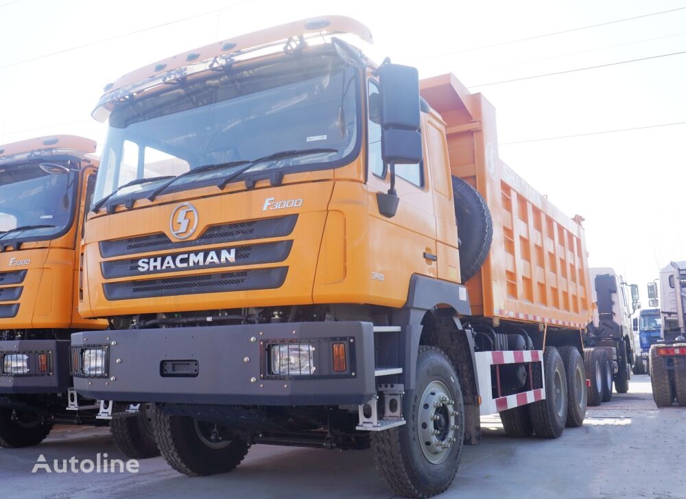 новий самоскид Shacman Shacman F3000 Dump Truck for Sale Price-Y