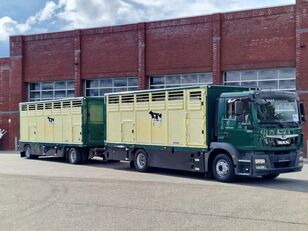 скотовоз MAN TGM 15.290 4x2 - Menke livestock 1 deck + 2019 Menke trailer - F