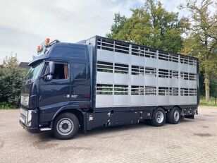 скотовоз Volvo FH 13.520 6x2/4 1/2/3 stock Livestock