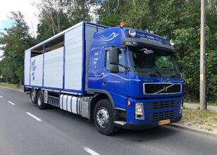 скотовоз Volvo FM 440 DO BYDLA -ZYWCA