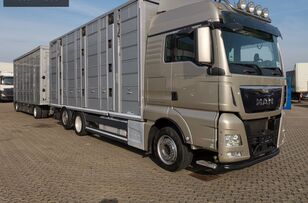 скотовоз MAN TGX 26.440 6x2 Állatszállító + szerelvény + причіп скотовоз