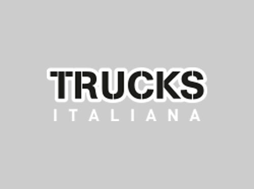 дифференциал IVECO GRUPPO DIFFERENZIALE POSTERIORE EUROTECH CURSOR для грузовика IVECO EUROTECH CURSOR